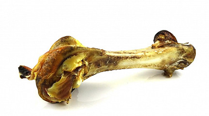 DeliBest - NOJEVA KOST