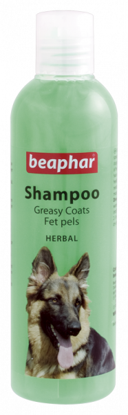 Beaphar šampon za mastno dlako iz zelišč