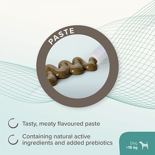 Beaphar IntestoPro pasta + Zeolit - prebiotična pasta za uravnavanje prebave