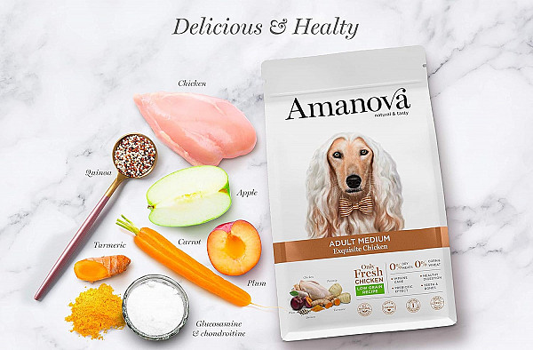 AMANOVA  ODLIČEN SVEŽ PIŠČANEC IN KVINOJA natural & tasty - ADULT MEDIUM  Exquisite Chicken