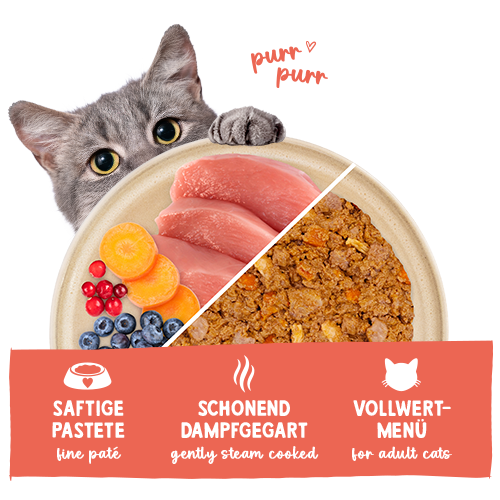 Sanabelle Freshe Mieze - puran in piščanec