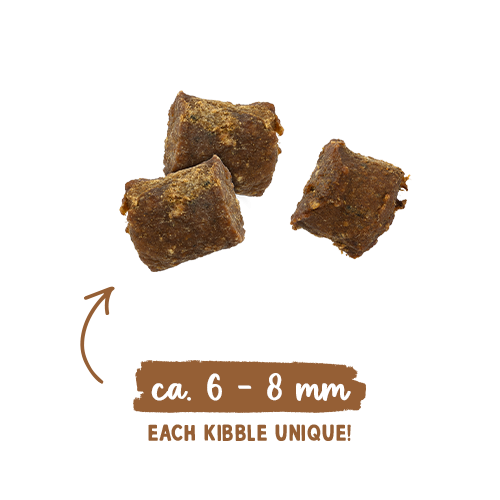 SANABELLE JUICY DUCK - MEHKI BRIKETI Z RACO