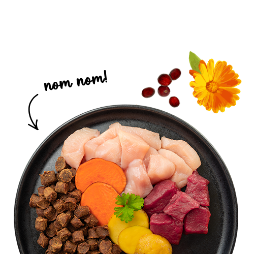 SANABELLE JUICY DUCK - MEHKI BRIKETI Z RACO