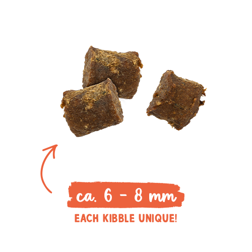 SANABELLE JUICY SALMON - MEHKI BRIKETI Z LOSOSOM