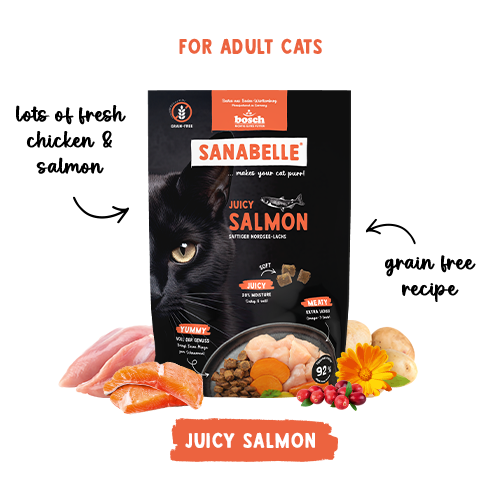 SANABELLE JUICY SALMON - MEHKI BRIKETI Z LOSOSOM