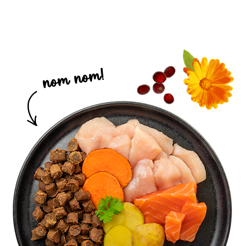 SANABELLE JUICY SALMON - MEHKI BRIKETI Z LOSOSOM