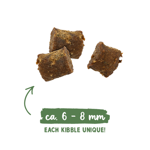 SANABELLE JUICY BEEF - MEHKI BRIKETI Z GOVEDINO