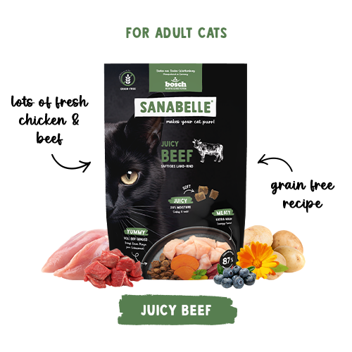 SANABELLE JUICY BEEF - MEHKI BRIKETI Z GOVEDINO