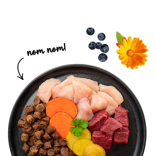 SANABELLE JUICY BEEF - MEHKI BRIKETI Z GOVEDINO