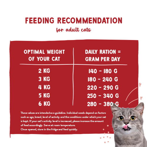 Sanabelle - govedina in puran v omaki