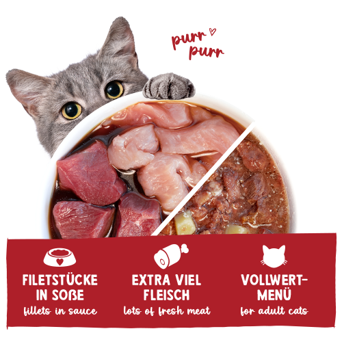 Sanabelle - govedina in puran v omaki