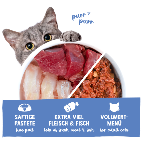 Sanabelle - pašteta s postrvjo in govedino