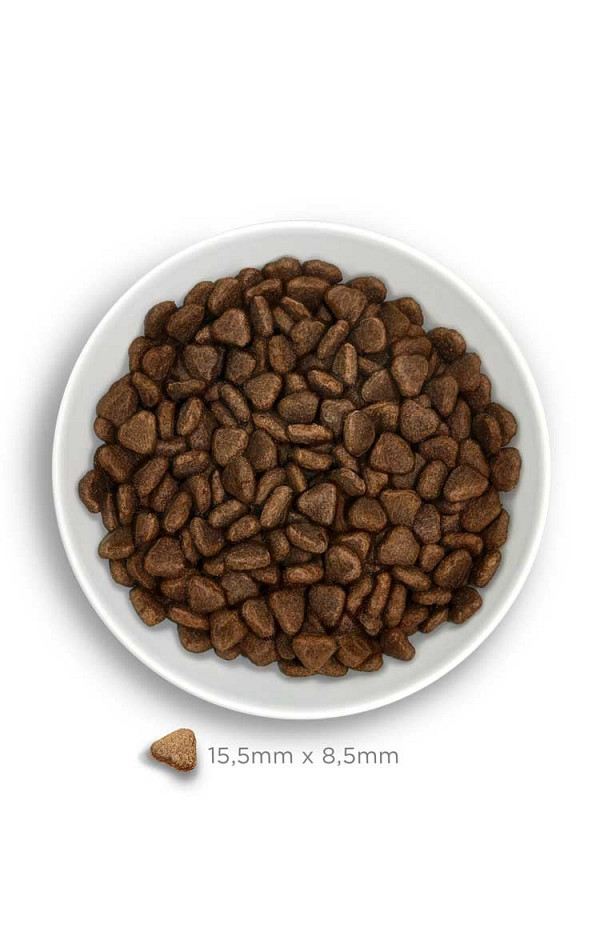 AMANOVA SVEŽ LOSOS BREZ ŽIT - natural & tasty ADULT SENSITIVE SALOM DELUXE